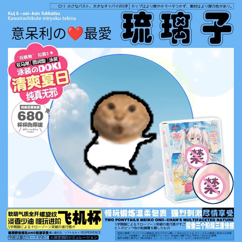 meme fleshlight_liuli_zi